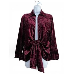 Burgundy Crushed Velvet Tie Front Top M Dark Romance Y2K Glam Whimsigoth Gothic